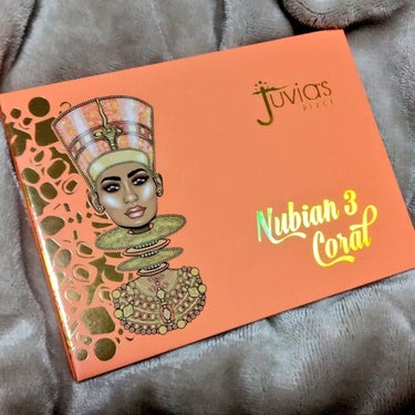 Juvia's Place nubian 3 coralのクチコミ「#今日のメイク Juvia’s place NUBIAN3 coral palette
今日は.....」（2枚目）