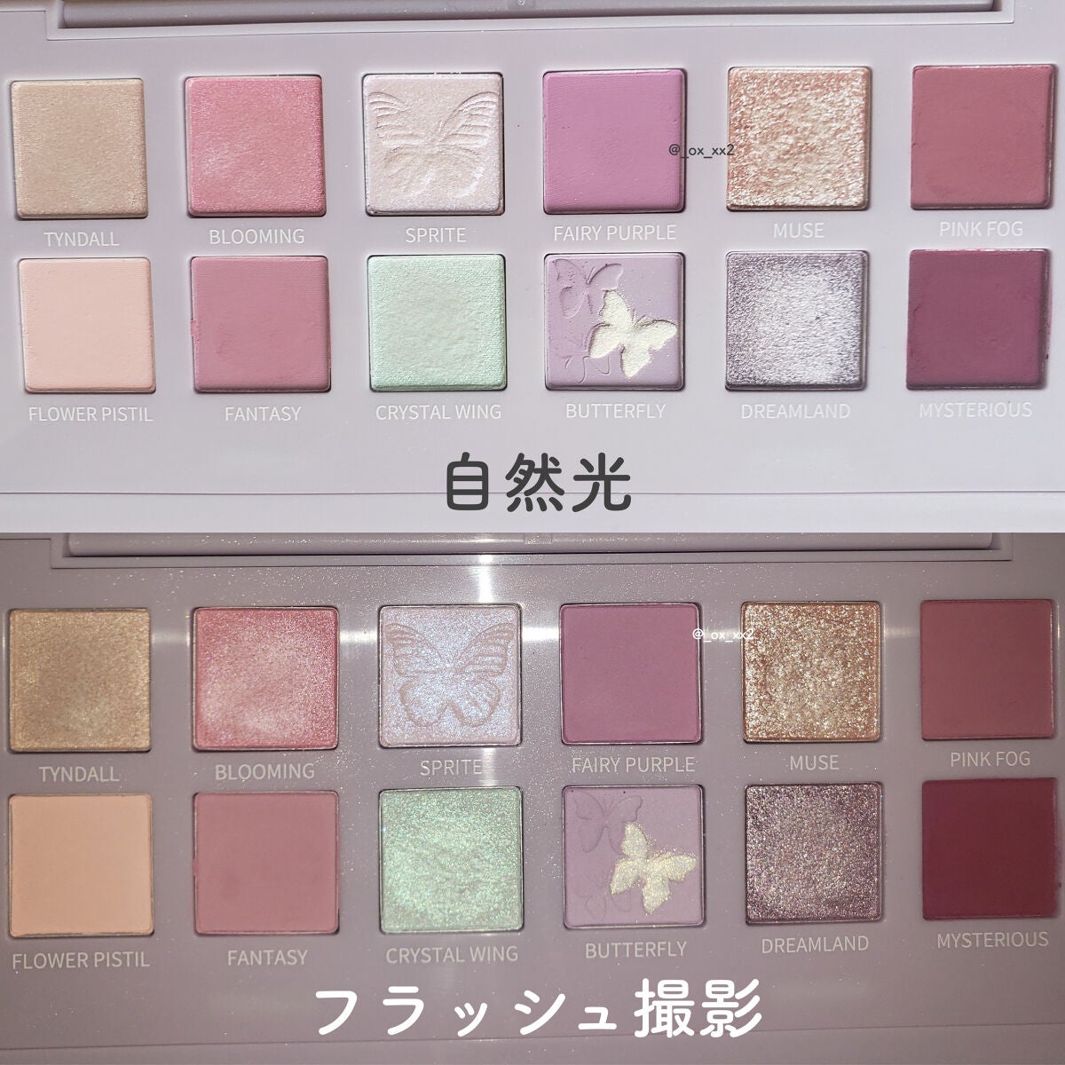 エクスプローラ12色 動物アイシャドウパレット/PERFECT DIARY/アイシャドウパレットを使ったクチコミ(3枚目)