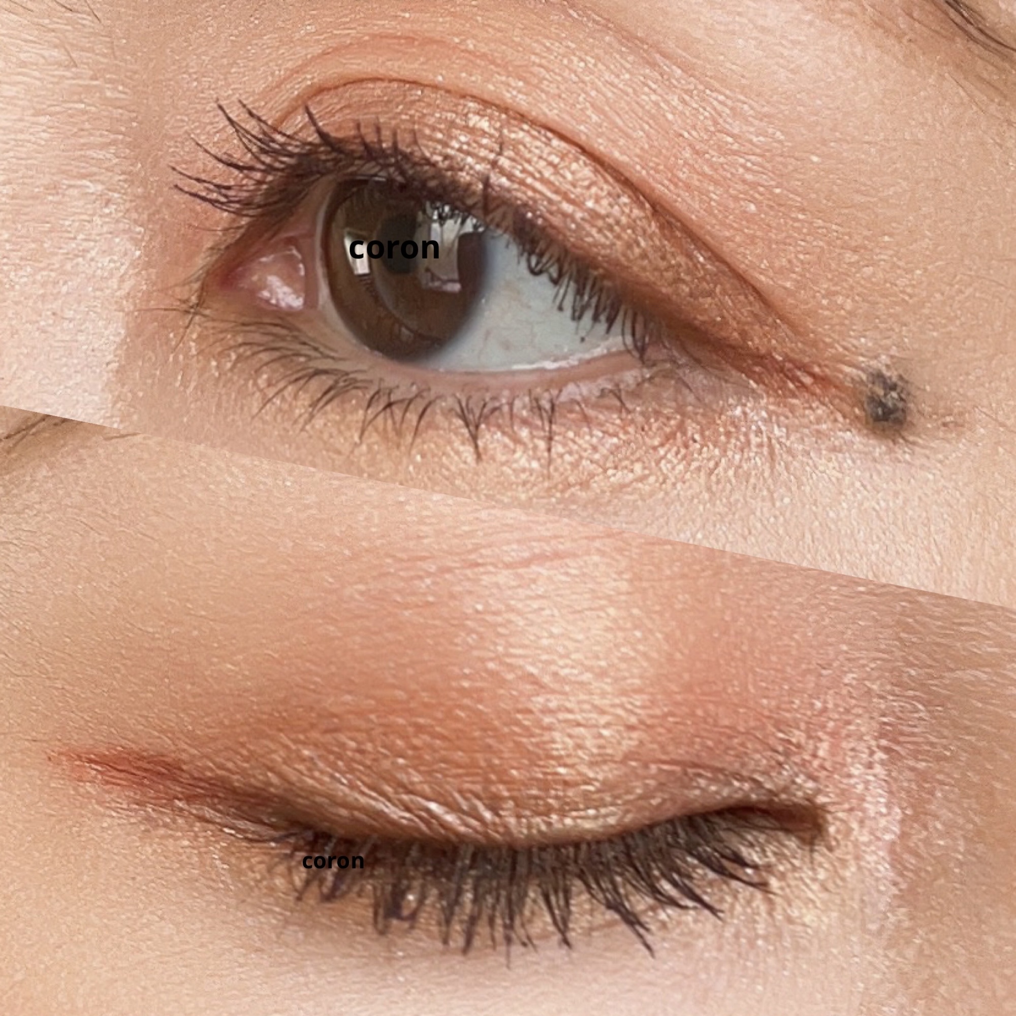 インフィニトリー カラー マルチパレット/Celvoke/ジェル・クリームアイシャドウを使ったクチコミ（2枚目）