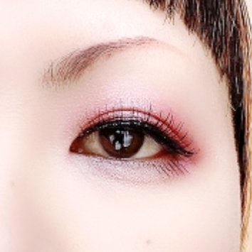 アニマルアイシャドウ(4シェード)/ZEESEA/アイシャドウパレットを使ったクチコミ(5枚目)