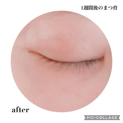 まつげ美容液(まつげ・目もと美容液)/UZU BY FLOWFUSHI/まつげ美容液を使ったクチコミ(4枚目)