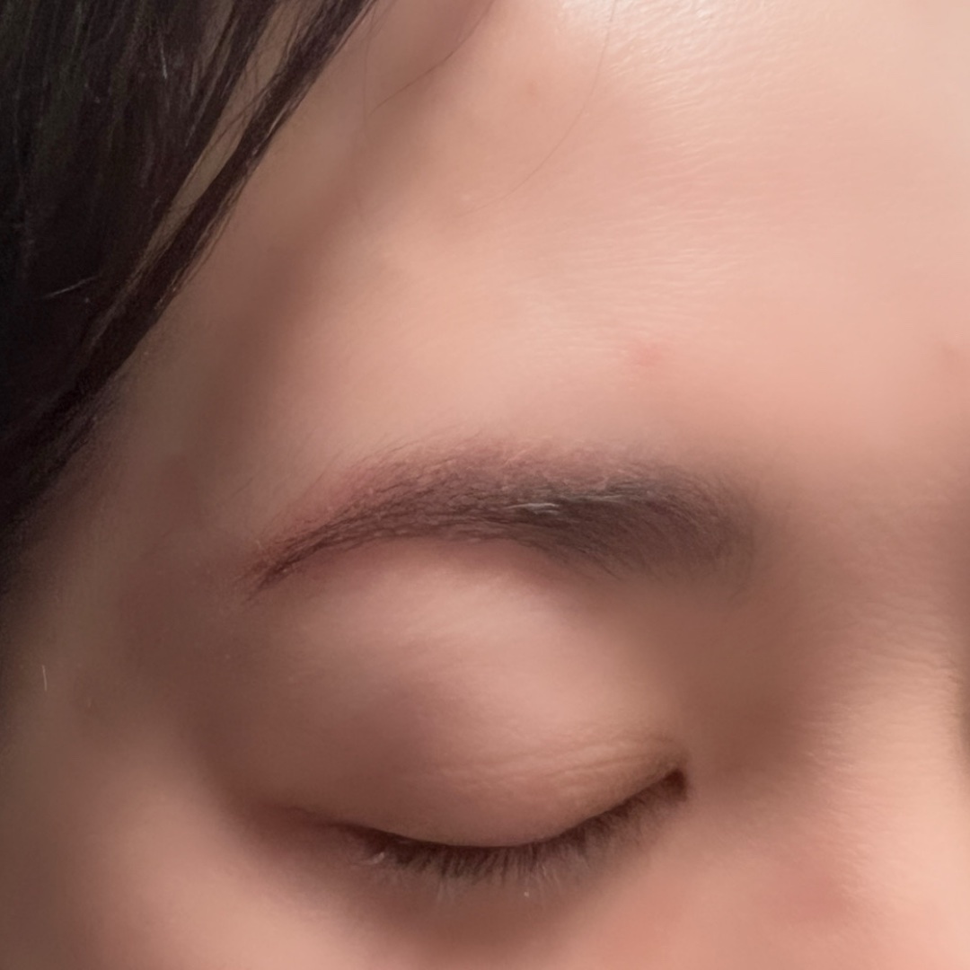 ヴィセ リシェ アイブロウパウダー/Visée/パウダーアイブロウを使ったクチコミ（3枚目）