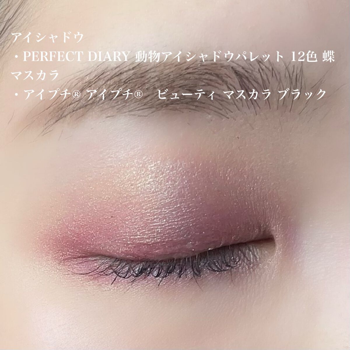 エクスプローラ12色 動物アイシャドウパレット/PERFECT DIARY/アイシャドウパレットを使ったクチコミ（2枚目）