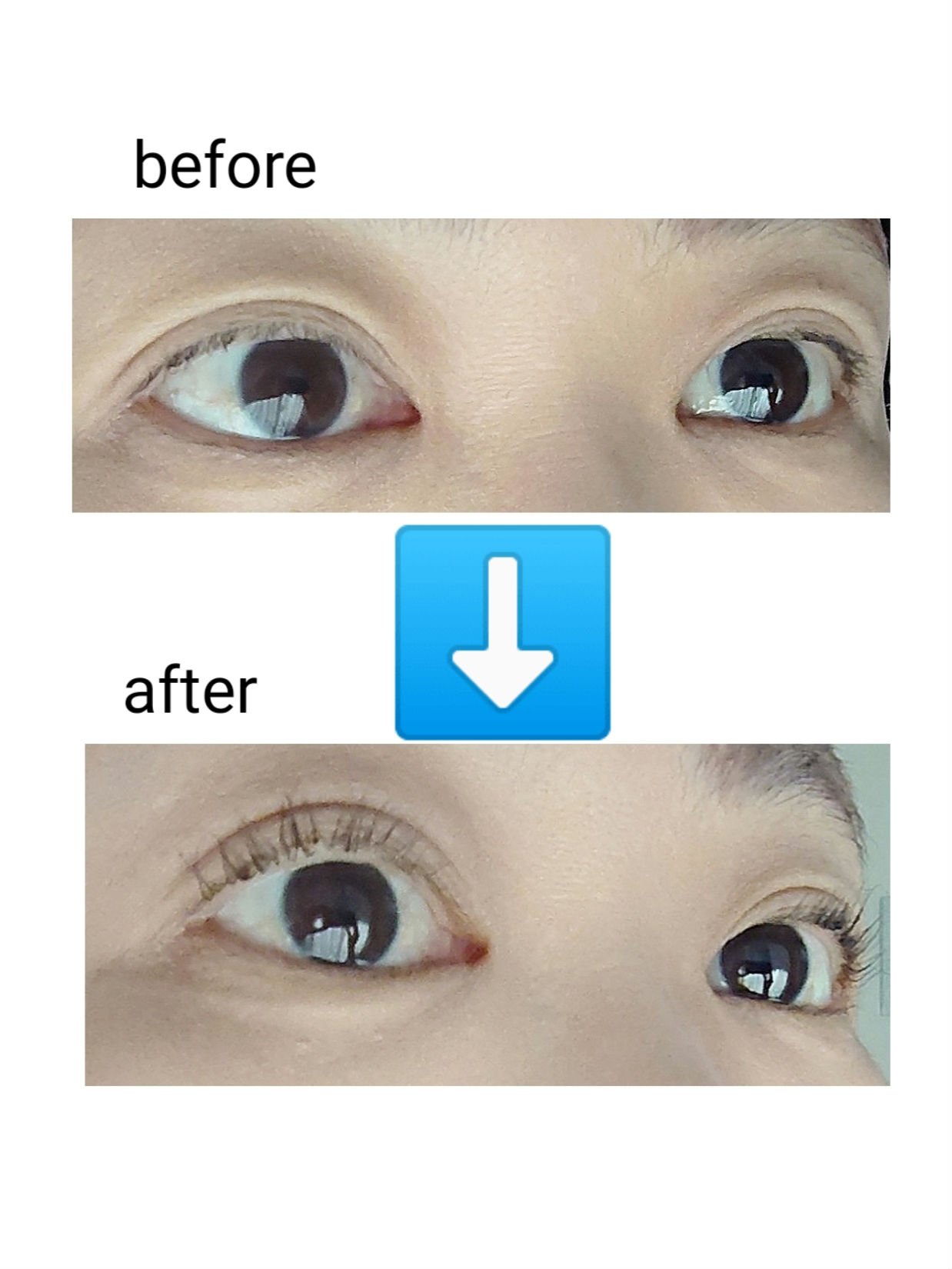 アイラッシュカーラー/shu uemura/ビューラーを使ったクチコミ（3枚目）