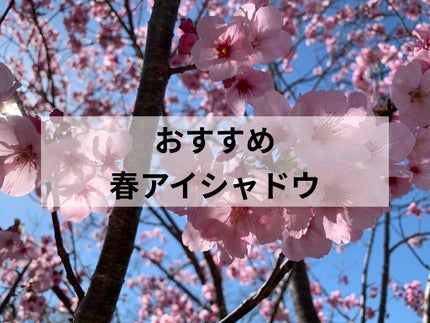 グリッターロックアイズ PK001(生産終了)/ETUDE/単色アイシャドウを使ったクチコミ(1枚目)