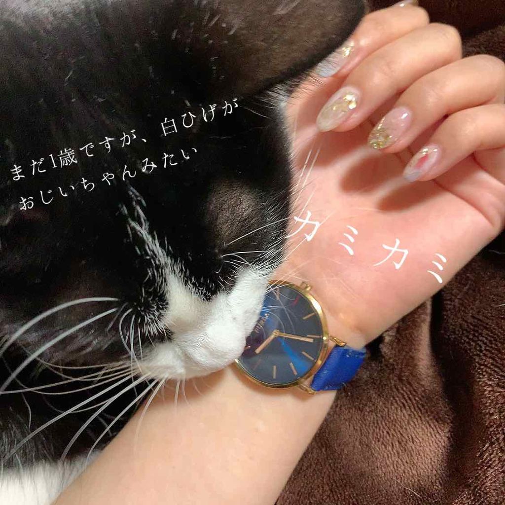 かわる on LIPS 「ネイルチェンジしました💅今回は冬を意識したネイルにとっても可愛..」(3枚目)