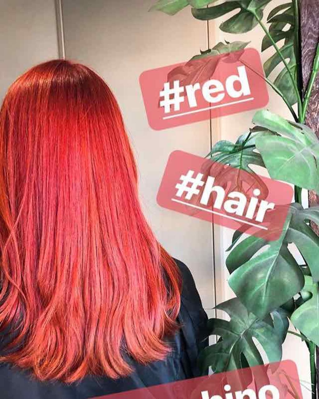 紫野 七瀬 on LIPS 「♡.こんにちは、こんばんはおはようございます、しのななせです。..」(1枚目)