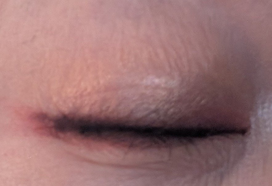 カラーステイ ルックス ブック パレット/REVLON/アイシャドウパレットを使ったクチコミ（3枚目）