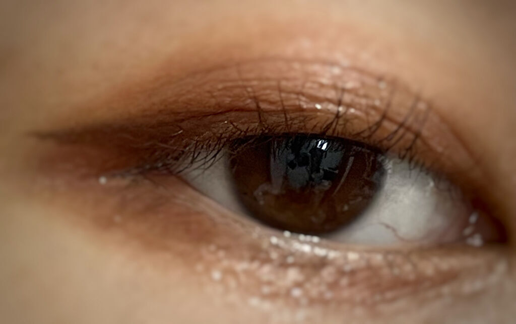 シルキースフレアイズ（マットタイプ）/キャンメイク/アイシャドウパレットを使ったクチコミ（3枚目）