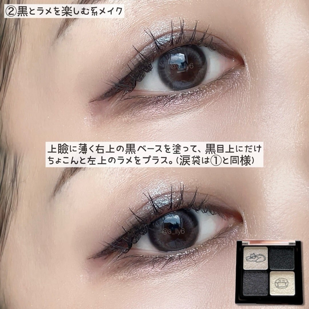 ブラックスペクトラムエディション(rom&nd×INAPSQUARE)/rom&nd/メイクアップキットを使ったクチコミ(8枚目)