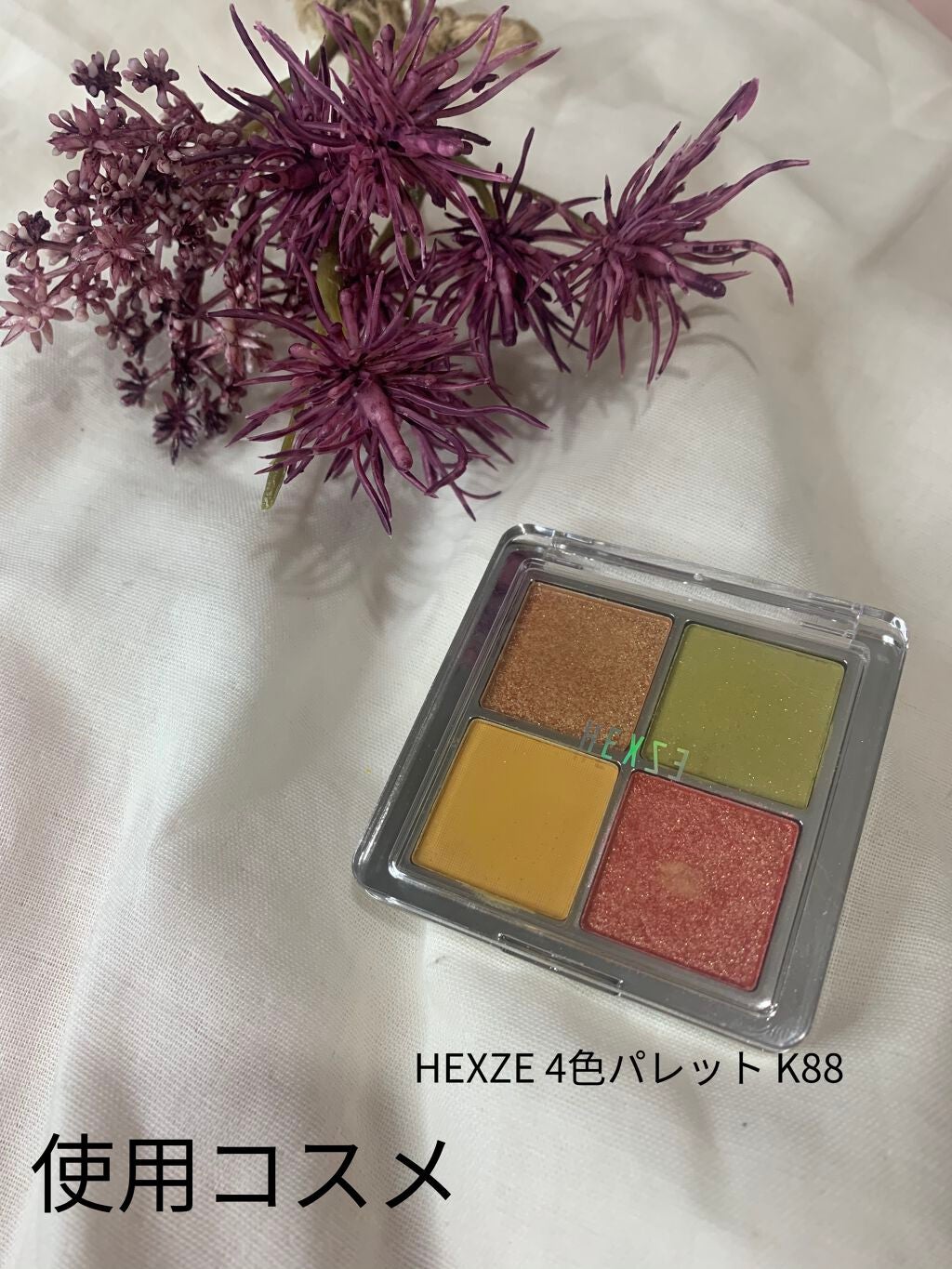 アイランドアドベンチャー4アイシャドウ/HEXZE(ヘックスゼ)/アイシャドウパレットを使ったクチコミ(2枚目)