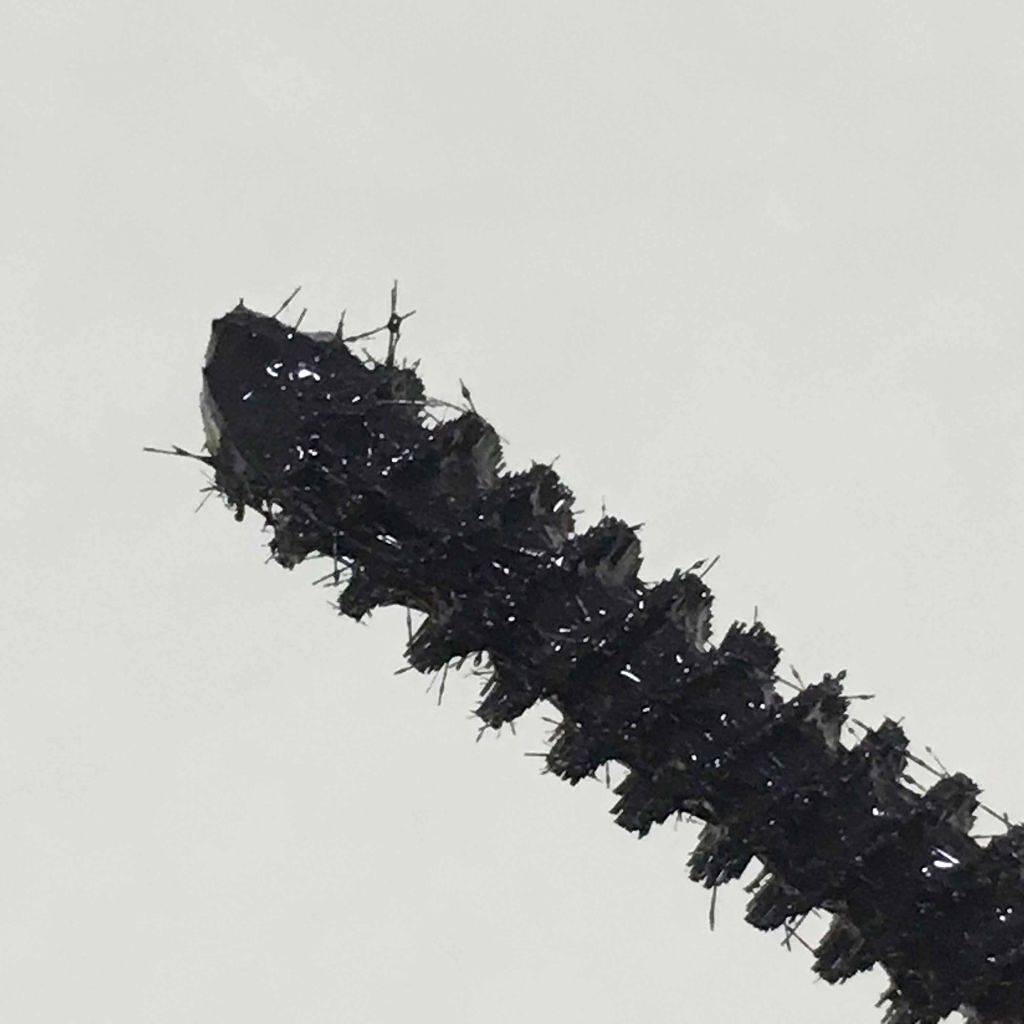 オートマスカラ 1/シフォネット/マスカラを使ったクチコミ（3枚目）