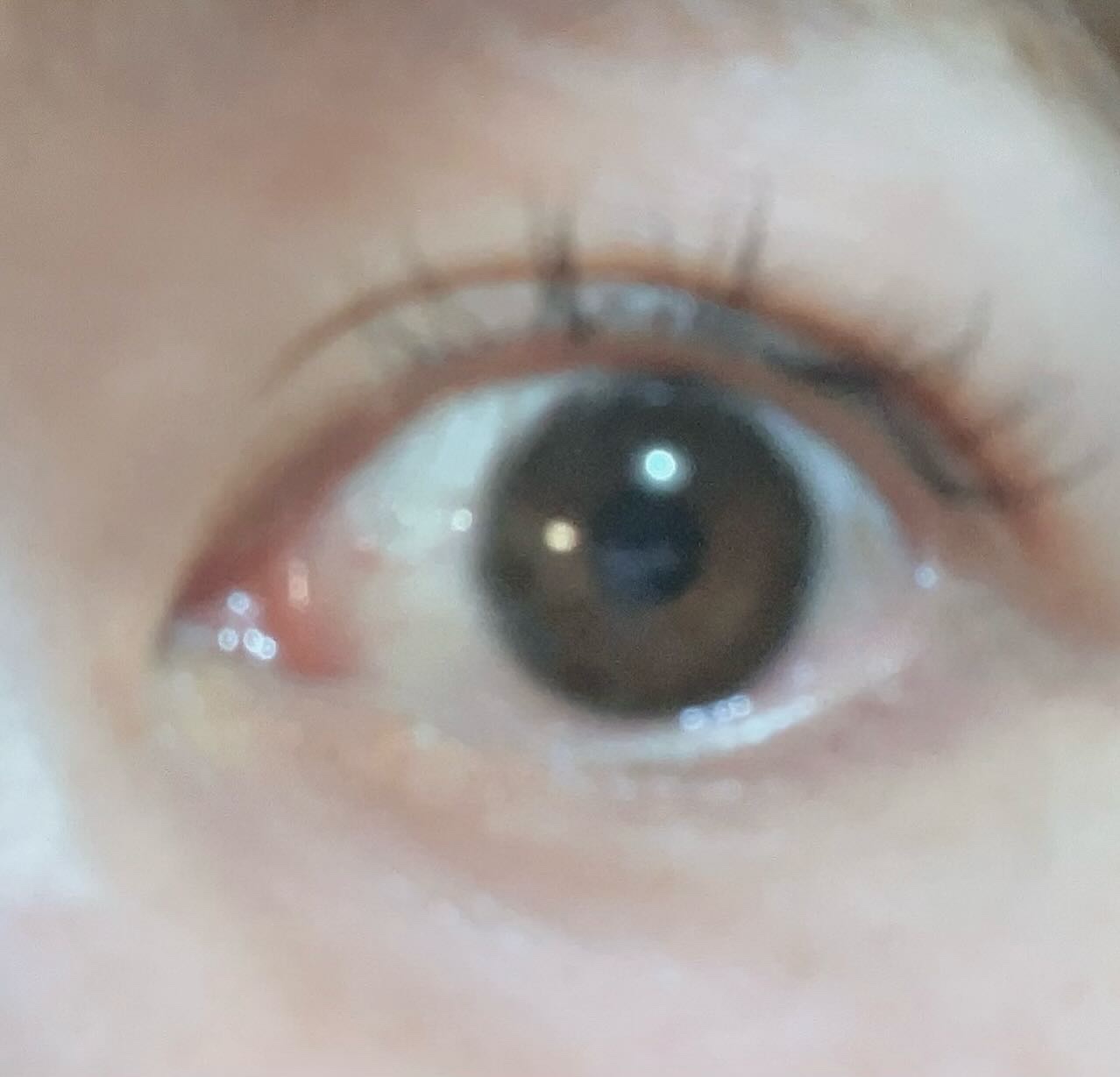 エバーカラーワンデーミリモア はじらいベイビー/エバーカラー/ワンデー（１DAY）カラコンを使ったクチコミ（3枚目）