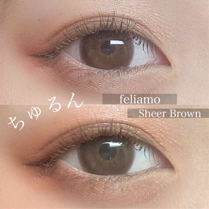 feliamo 1day/feliamo/ワンデー(1DAY)カラコンを使ったクチコミ(1枚目)