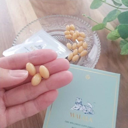 CBD ウェルネスサプリメント/WALALA/健康サプリメントを使ったクチコミ(4枚目)