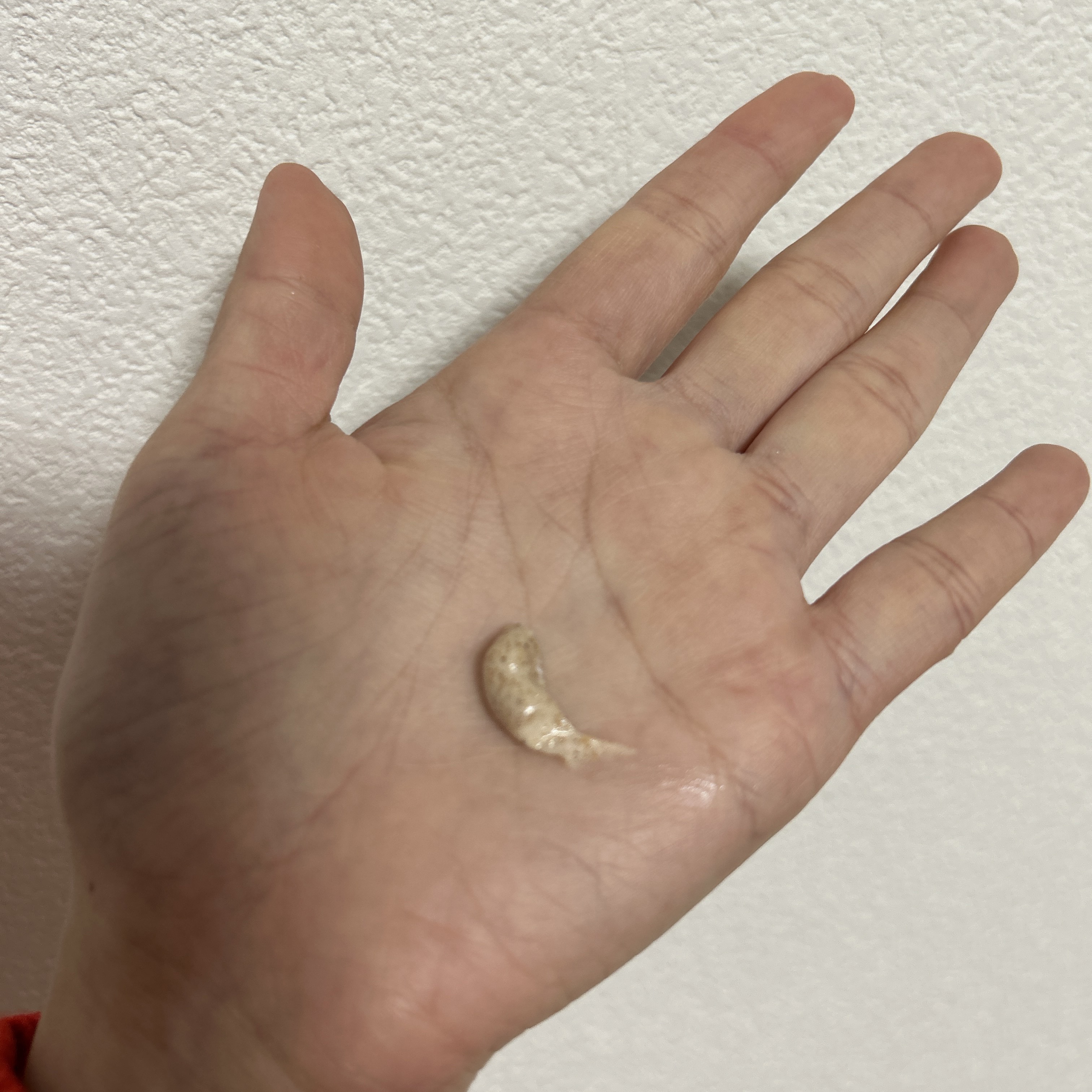 毛穴丸洗いスクラブ洗顔/ケアナボーテ/洗顔フォームを使ったクチコミ（2枚目）