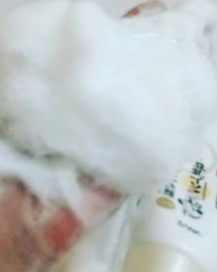 WRクレンジング洗顔 N/なめらか本舗/洗顔フォームを使ったクチコミ(1枚目)