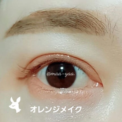 トーンディメンショナルパレット/KATE/メイクアップキットを使ったクチコミ(1枚目)