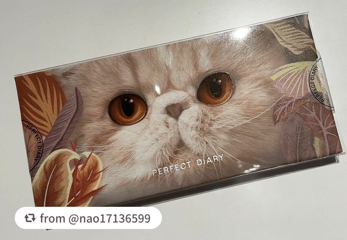 エクスプローラ12色 動物アイシャドウパレット/PERFECT DIARY/アイシャドウパレットを使ったクチコミ(1枚目)