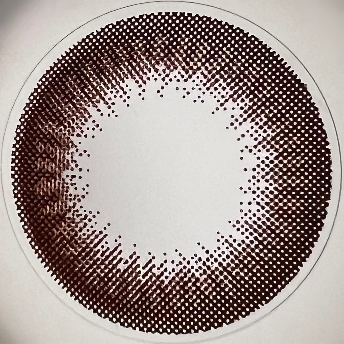 エバーカラーワンデー ナチュラル/エバーカラー/ワンデー(1DAY)カラコンを使ったクチコミ(6枚目)