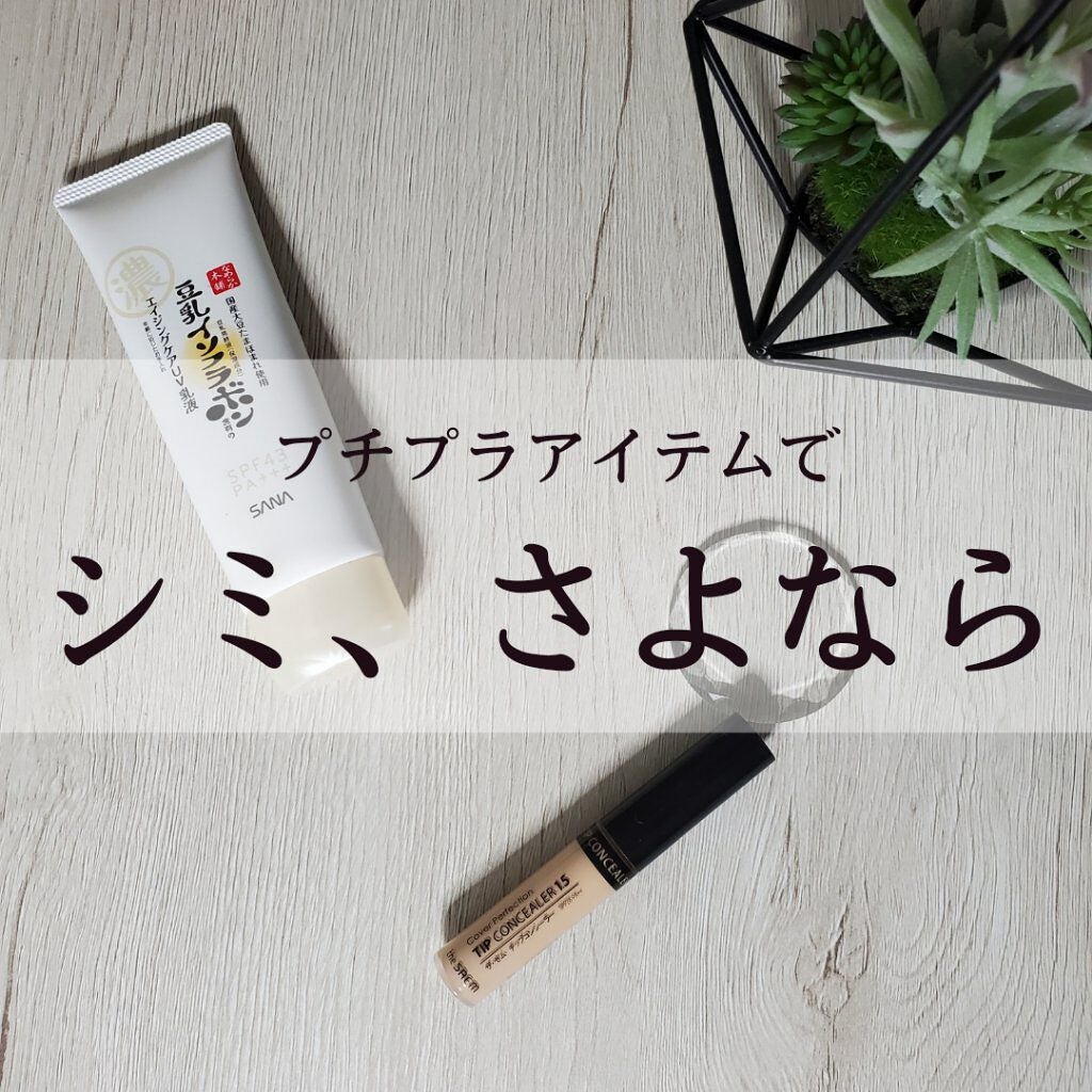 カバーパーフェクション チップコンシーラー/the SAEM/リキッドコンシーラーを使ったクチコミ(1枚目)
