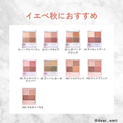 シルキースフレアイズ/キャンメイク/アイシャドウパレットを使ったクチコミ(4枚目)