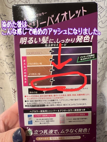 メイクアップカラー ベリーバイオレット/ビューティーン/ヘアカラーの画像