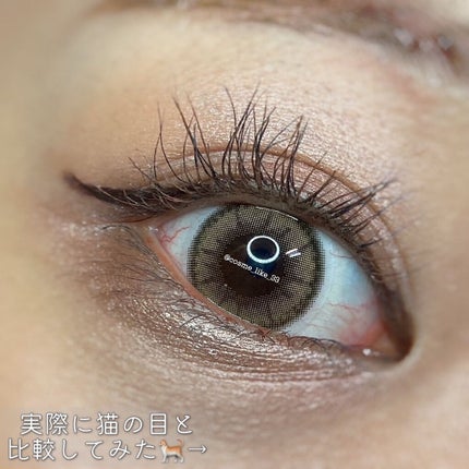 TOPARDS 1day/TOPARDS/ワンデー(1DAY)カラコンを使ったクチコミ(6枚目)