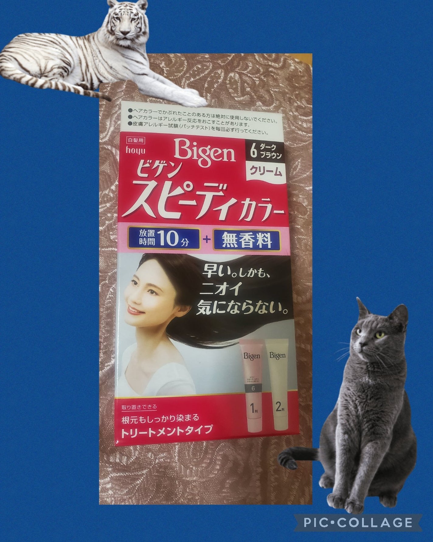 スピーディカラークリーム/ビゲン/ヘアカラーを使ったクチコミ(1枚目)