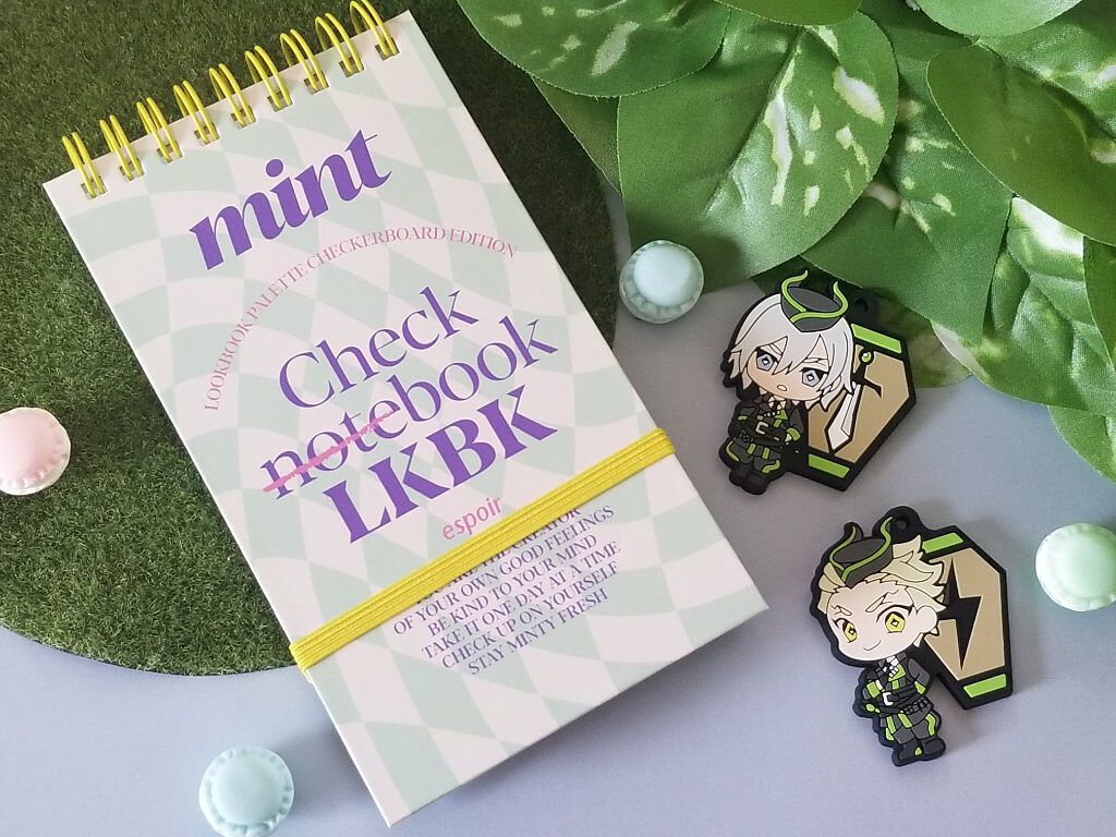 22S/Sルックブック ミントチェック/espoir/アイシャドウパレットを使ったクチコミ（1枚目）