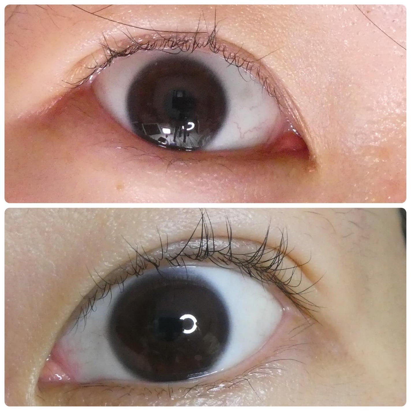 アイラッシュセラム/Bio Lucia(ビオルチア)/まつげ美容液を使ったクチコミ(7枚目)