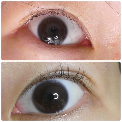 アイラッシュセラム/Bio Lucia(ビオルチア)/まつげ美容液を使ったクチコミ(7枚目)