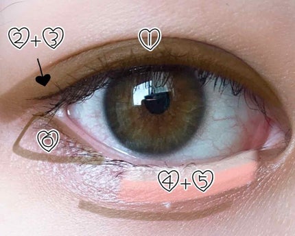 【旧品】パーフェクトスタイリストアイズ/キャンメイク/アイシャドウパレットを使ったクチコミ(4枚目)