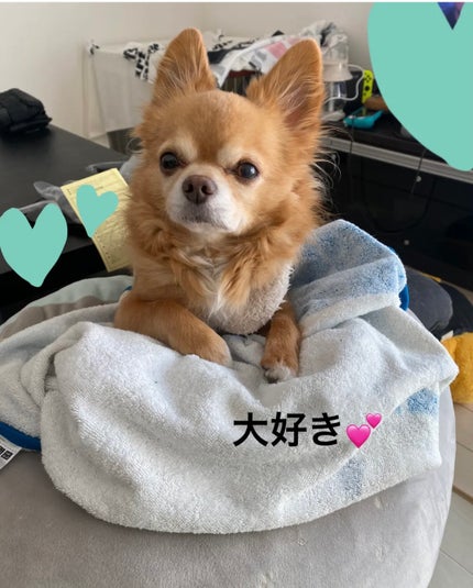 ディオール ヴェルニ/Dior/マニキュアを使ったクチコミ(5枚目)