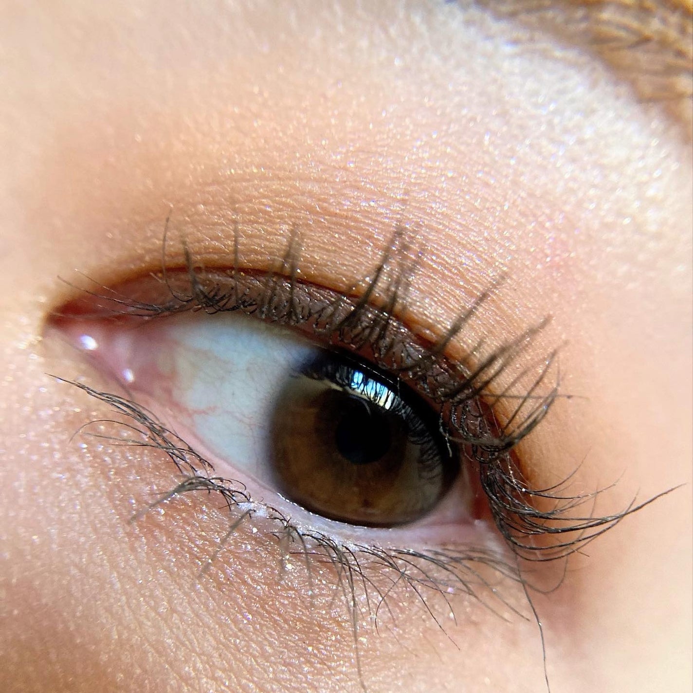 アイカラーレーション/LUNASOL/アイシャドウパレットを使ったクチコミ(8枚目)