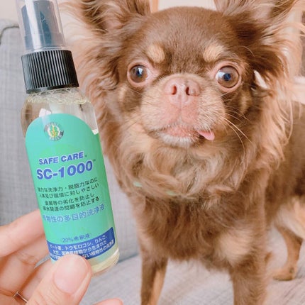 を使ったクチコミ(1枚目)