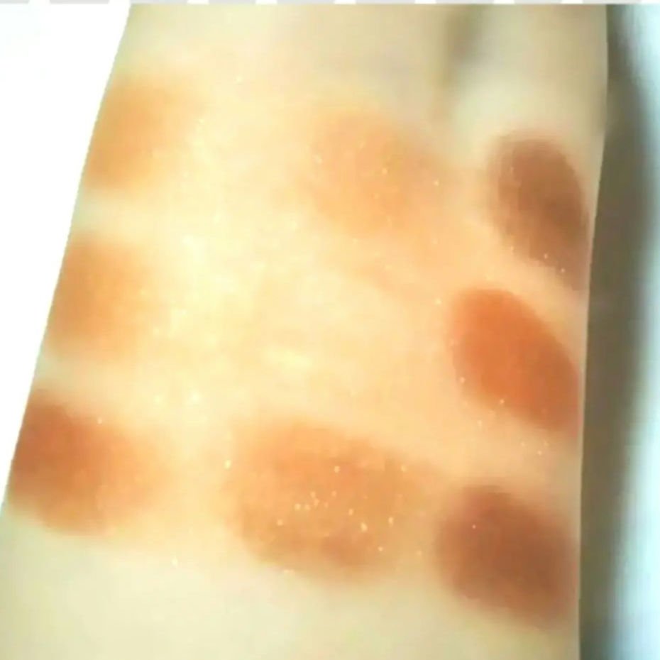 UR GLAM　BLOOMING EYE COLOR PALETTE/U R GLAM/アイシャドウパレットを使ったクチコミ（3枚目）