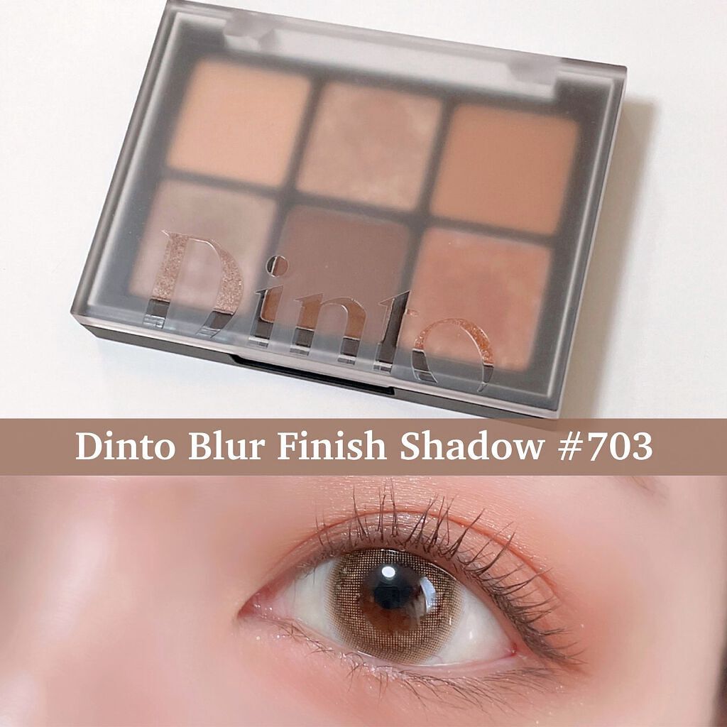 ブラーフィニシュシャドウパレット/Dinto/アイシャドウパレットを使ったクチコミ（1枚目）