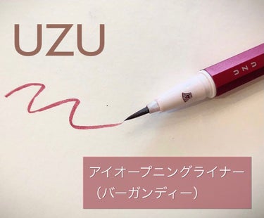 EYE OPENING LINER/UZU BY FLOWFUSHI/リキッドアイライナーを使ったクチコミ（1枚目）