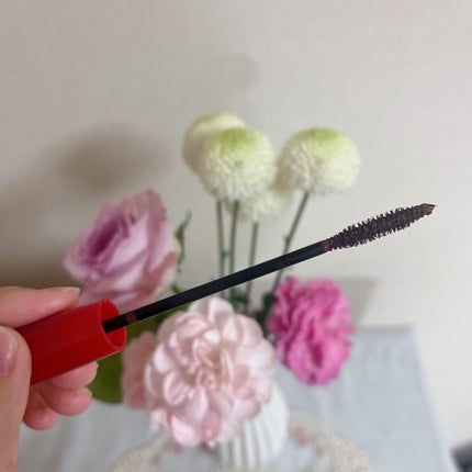 オペラ マイラッシュ アドバンスト/OPERA/マスカラを使ったクチコミ(2枚目)