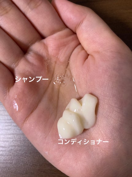 オイルインシャンプー/オイルインコンディショナー (グロス&リペア)/ディアボーテ/市販シャンプーを使ったクチコミ(4枚目)