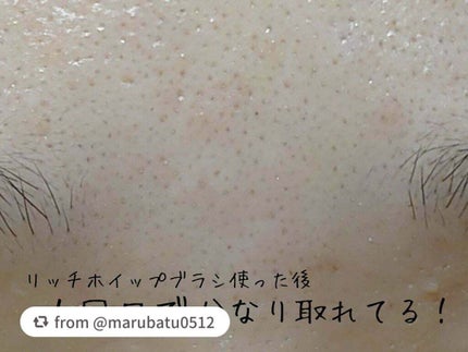 リッチホイップブラシSHINKA(シンカ)/SHOBIDO/その他スキンケアグッズを使ったクチコミ(7枚目)