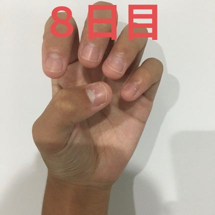 ã䜿ã£ãã¯ãã³ãïŒ2æç®ïŒ