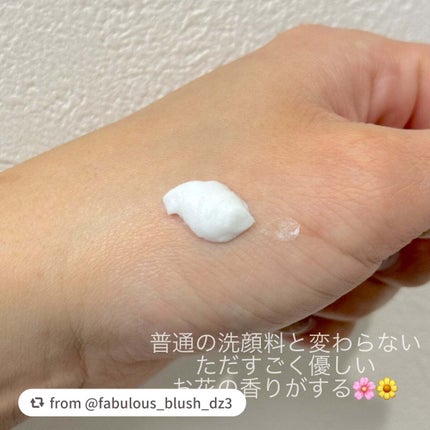 ジェントルクリーミー フォームウォッシュ/FEMMUE/洗顔フォームを使ったクチコミ(2枚目)