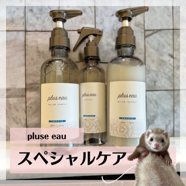 plus eau ハイドロミストNのクチコミ「髪のブースター導入液✨️
プリュスオーハイドロミストN を使ってみた⸜🌷︎⸝‍

トリートメン.....」（1枚目）