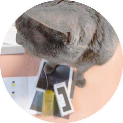 ウォーターオイルバランサー 乾燥/白/SENN/オールインワン化粧品を使ったクチコミ(9枚目)