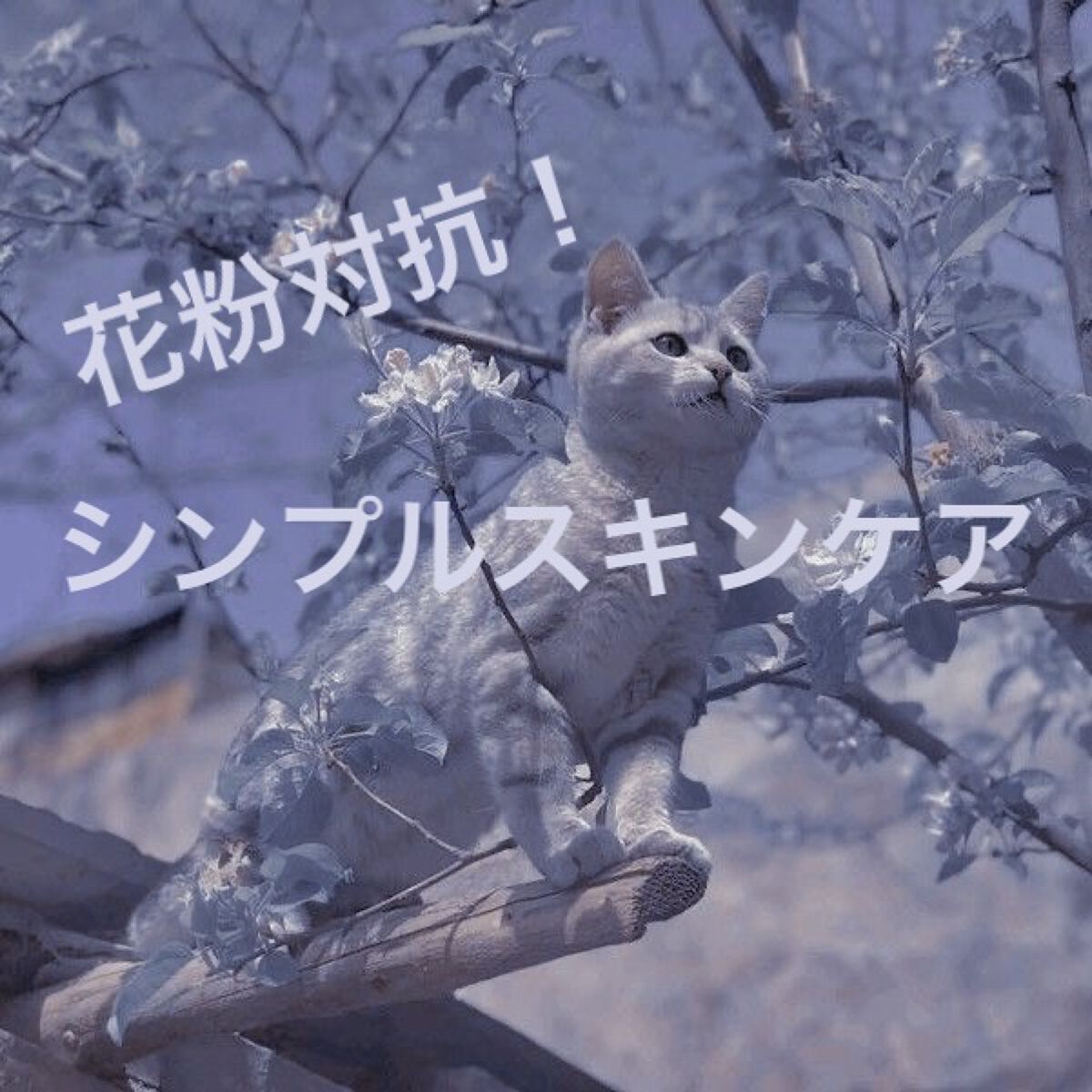 すっぴんリップエッセンス 01 クリア/クラブ/リップ美容液を使ったクチコミ（1枚目）