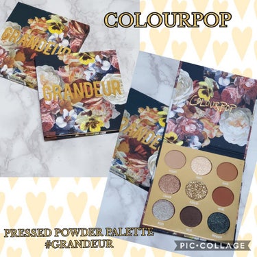 ColourPop シャドウパレット ColourPopのクチコミ「ずーっとしまい込んでいたパレットを使ったらめちゃめちゃ使いやすかった🎵

『ColourPop.....」（1枚目）