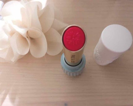 プロテクティング ファンデーション プライマー S/PAUL & JOE BEAUTE/化粧下地を使ったクチコミ(1枚目)