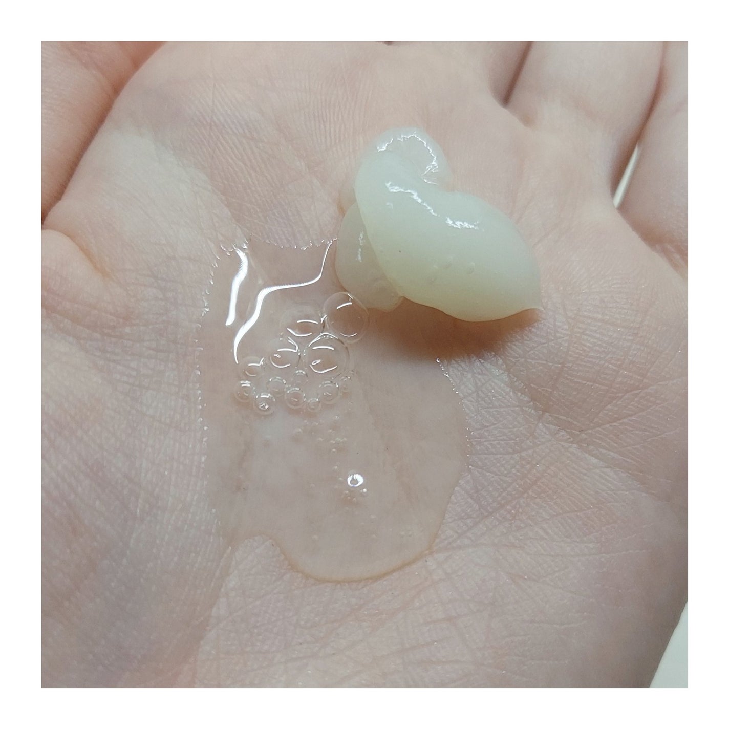 ã¢ã³ããã㌠ãã¯ã·ãŒ ã¢ã€ã¹ãã·ã«ã㌠ã·ã£ã³ããŒ1.0/ãã¢ããªãŒãã¡ã³ã2.0/&honey/åžè²©ã·ã£ã³ããŒã䜿ã£ãã¯ãã³ãïŒ2æç®ïŒ